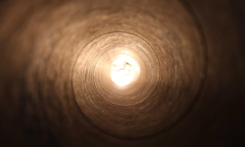 which milkweed for hingagyi