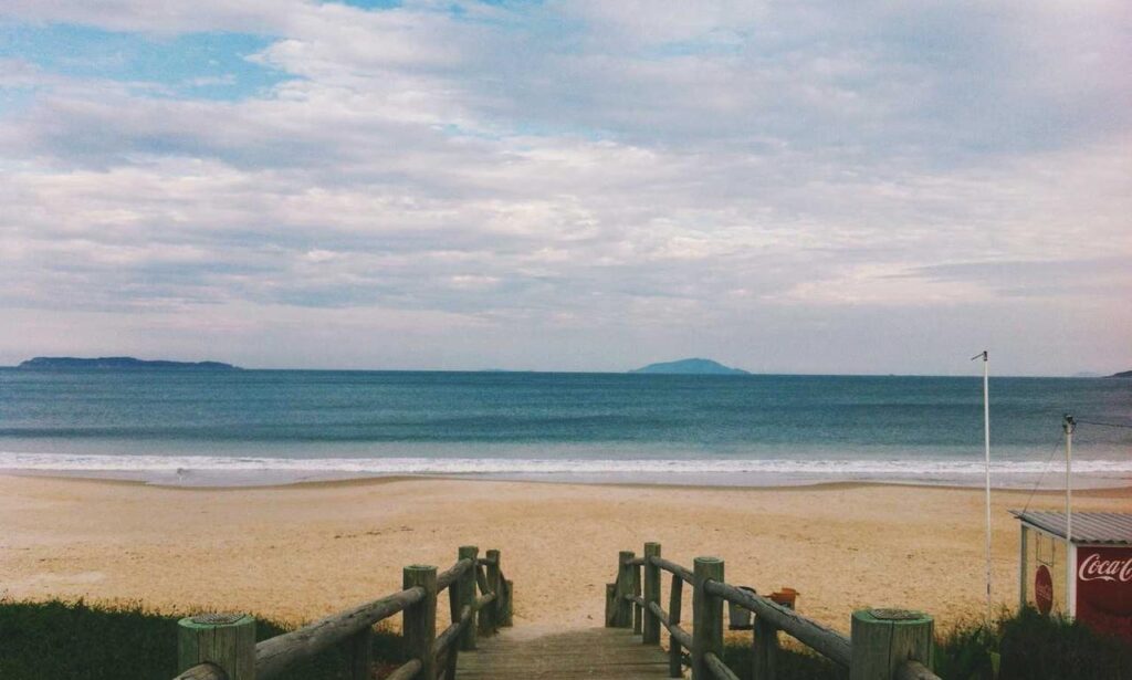 which news app is the best scookietech