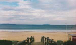 which news app is the best scookietech