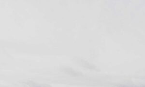 which obernaft character should i play