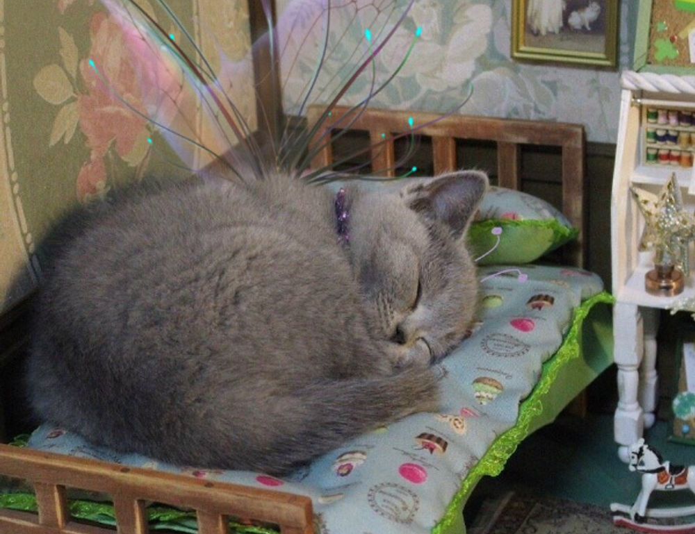 which trends affect igaming etrstech