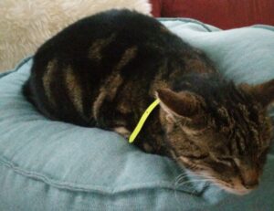 why cybersecurity matters wbsoftwarement