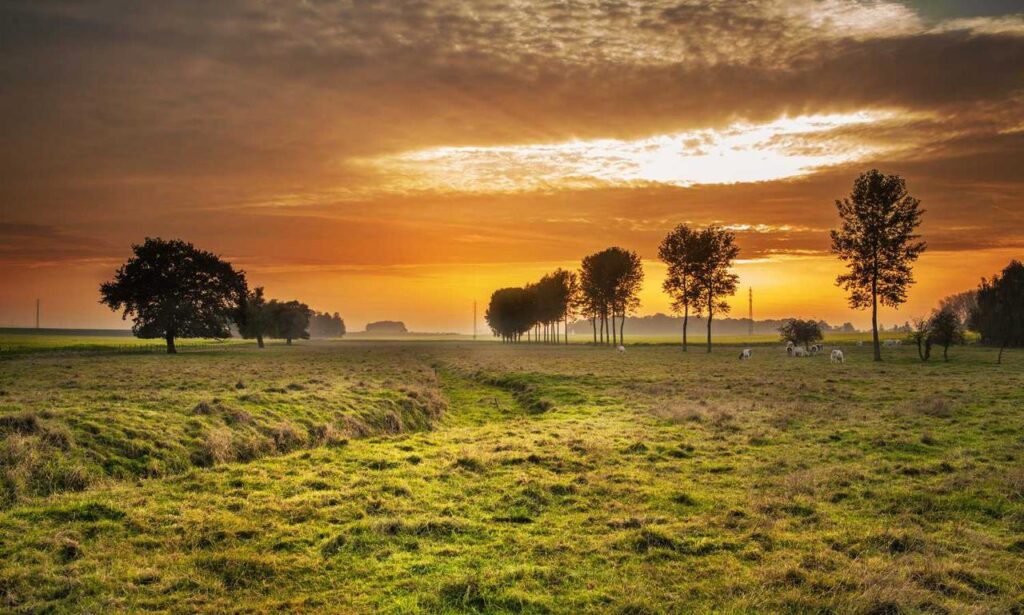 why is uhoebeans software update failing