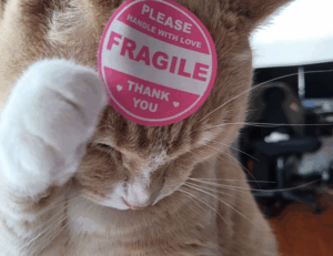 why use uhoebeans software in business