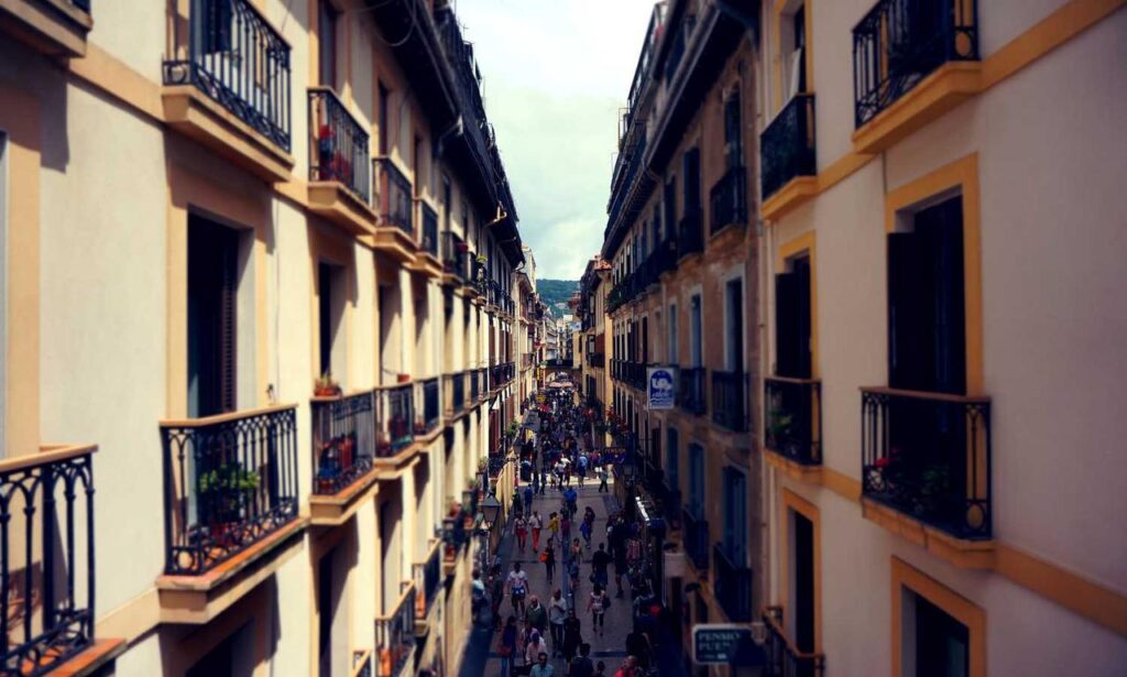 zosisfod eye brow pencil