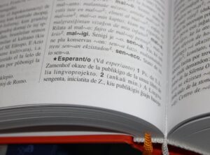 mnbvcxzlkjhgfdsapoiuytrewq definition dictionary