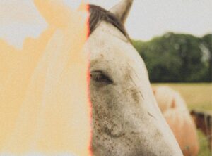 Photoshop Gfxprojectality