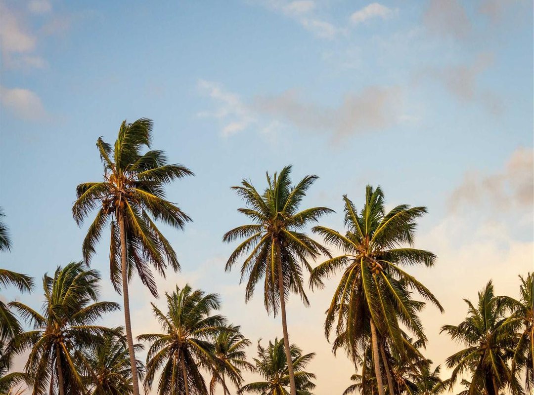 Historical Context: Previous Meetings and Key Moments