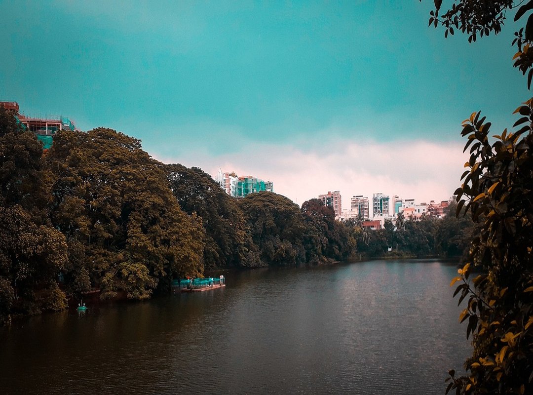 The Advantage of Buying in Dhanmondi