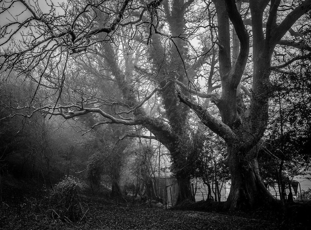 Making the Final Decision: Which Stomach Cramp Remedy Is Right for You?