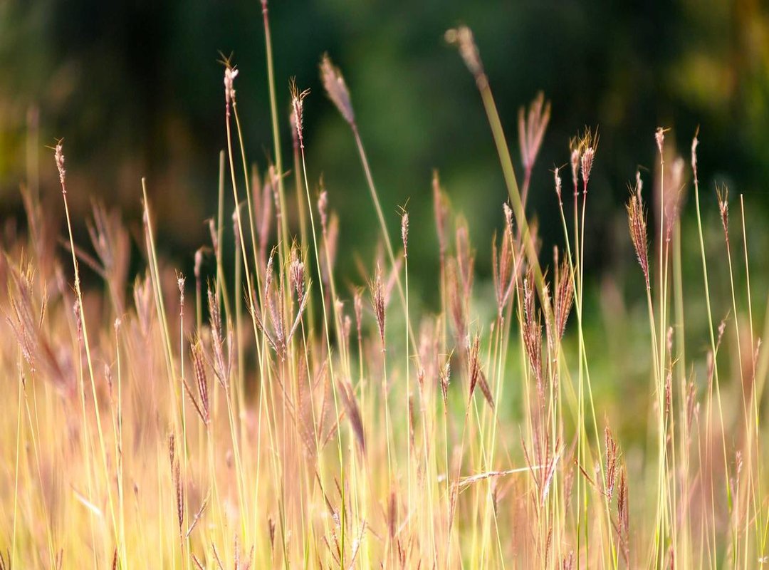 Analyzing the Change: What Do the Visuals Suggest?