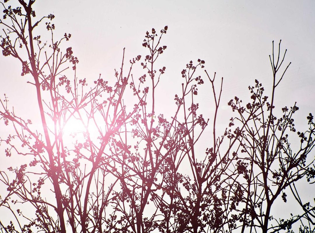 How-to: Analyzing the Chapter for Deeper Understanding