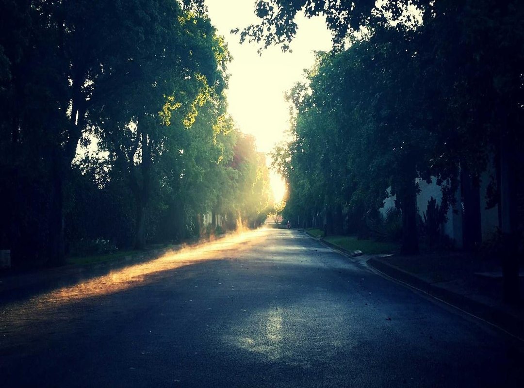 How to Cook Tomato Soup: A Step-by-Step Walkthrough