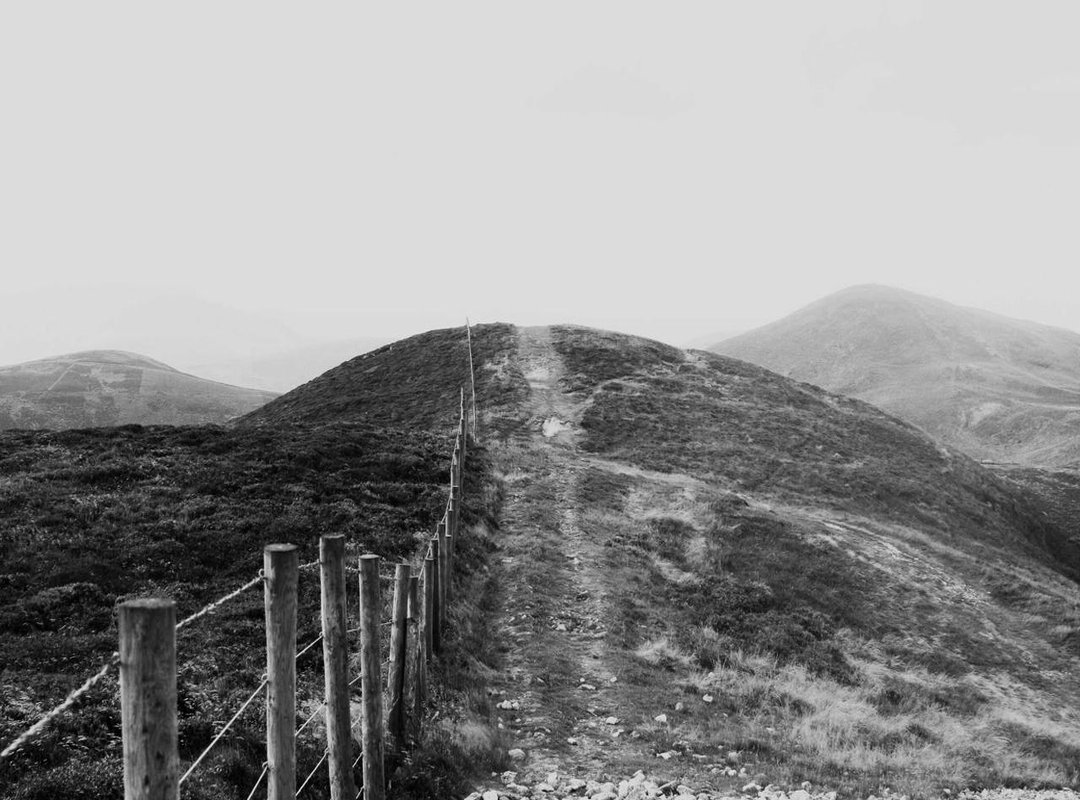 Putting It All Together: Sample Condolence Messages